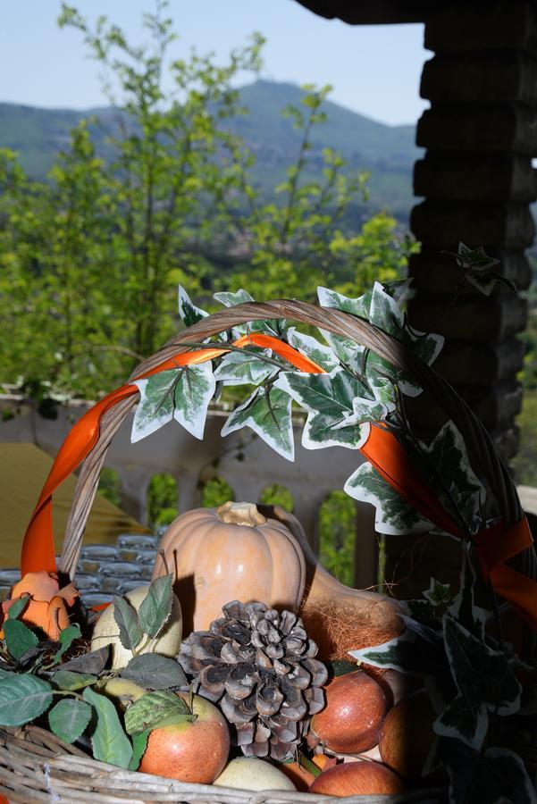 Borgo Della Molara Hotel โกรตาเฟราตา ภายนอก รูปภาพ